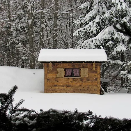 Hotel Flor'alpes 2*