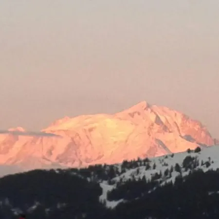 Hotel Flor'alpes 2*