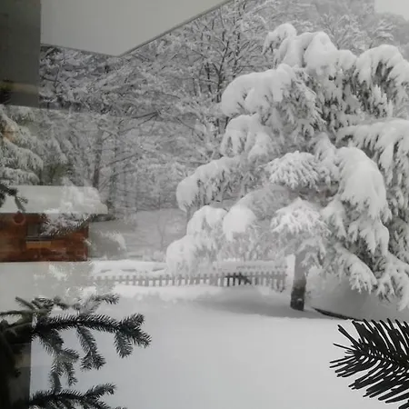 Flor'alpes Hotel