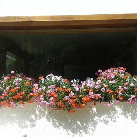 Hotel Flor'alpes La Giettaz
