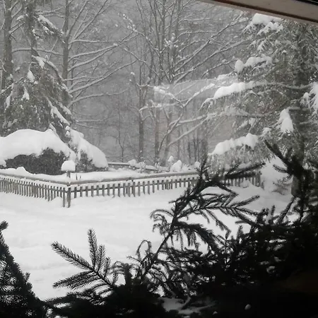 Flor'alpes Hotel 2*