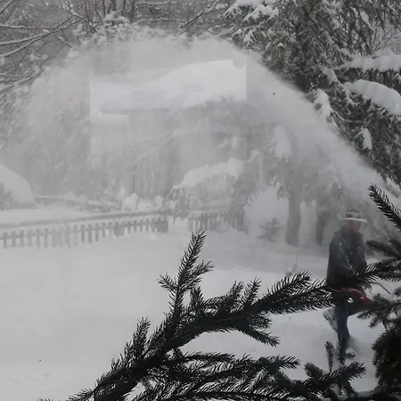 Flor'alpes Hotel 2*