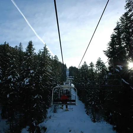 Flor'alpes Hotel 2*