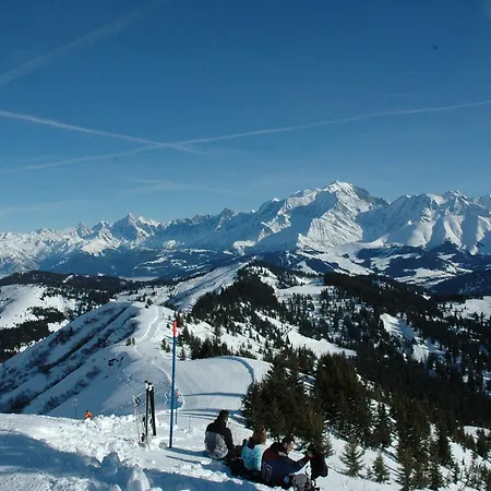 Flor'alpes Hotel 2*