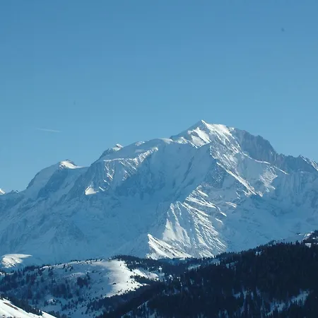 Flor'alpes Hotel 2*